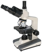 Researcher Trino