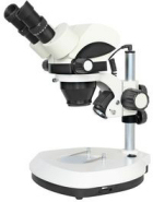 ETD101