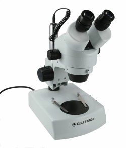 stereo microscope zoom